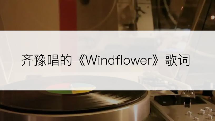 齐豫唱的《Windflower》歌词