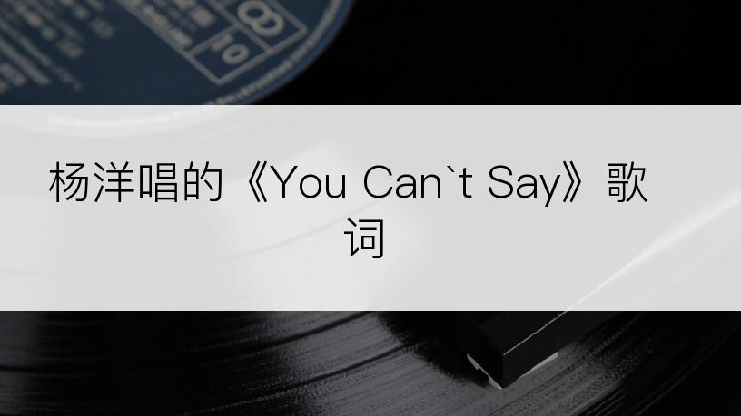 杨洋唱的《You Can`t Say》歌词