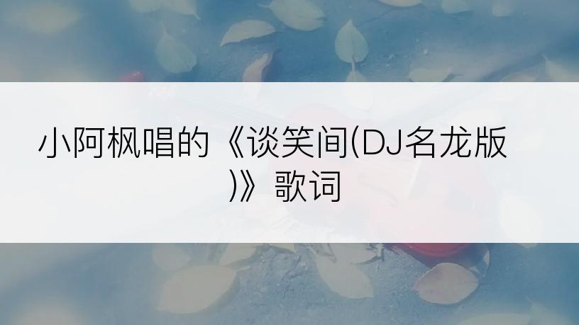 小阿枫唱的《谈笑间(DJ名龙版)》歌词