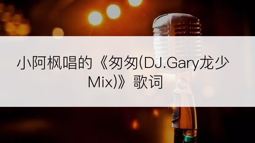 小阿枫唱的《匆匆(DJ.Gary龙少Mix)》歌词