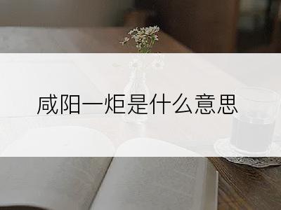 咸阳一炬是什么意思