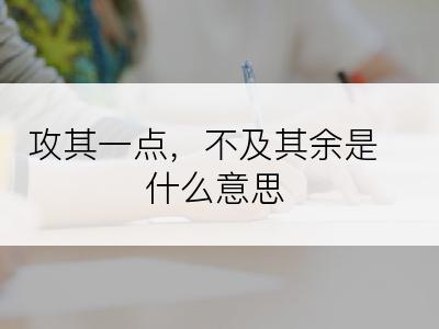 攻其一点，不及其余是什么意思