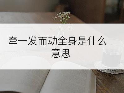 牵一发而动全身是什么意思