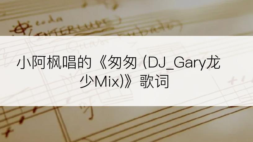 小阿枫唱的《匆匆 (DJ_Gary龙少Mix)》歌词