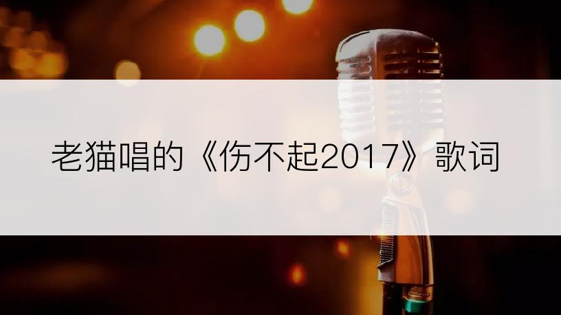 老猫唱的《伤不起2017》歌词