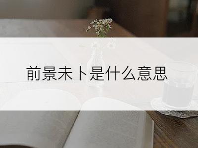 前景未卜是什么意思