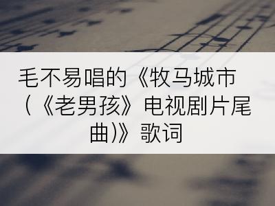 毛不易唱的《牧马城市 (《老男孩》电视剧片尾曲)》歌词