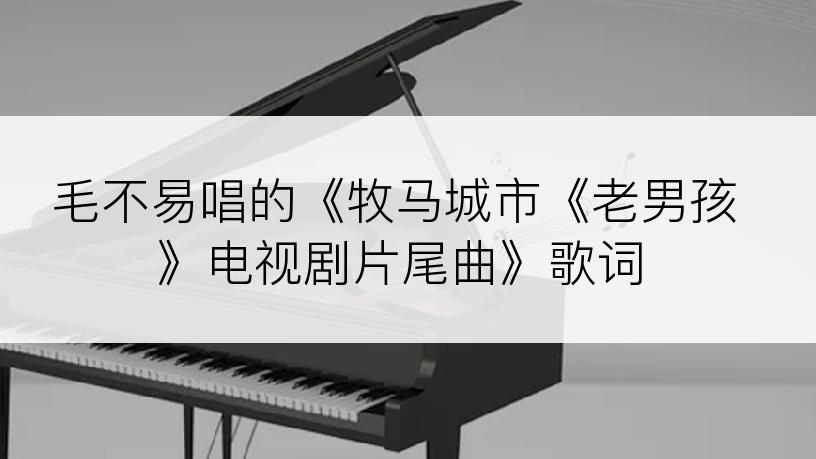 毛不易唱的《牧马城市《老男孩》电视剧片尾曲》歌词