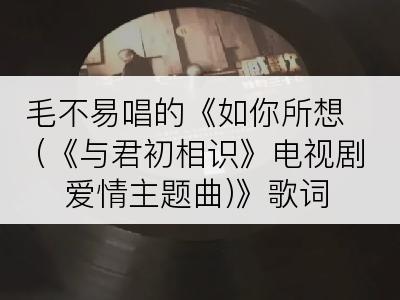 毛不易唱的《如你所想 (《与君初相识》电视剧爱情主题曲)》歌词