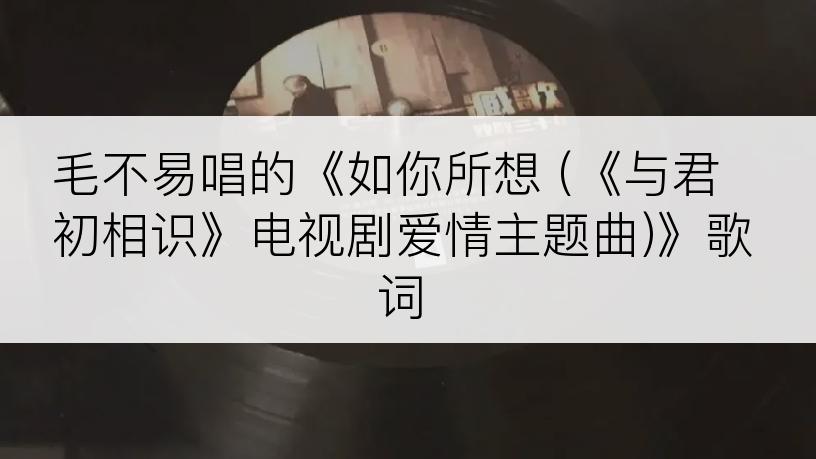 毛不易唱的《如你所想 (《与君初相识》电视剧爱情主题曲)》歌词