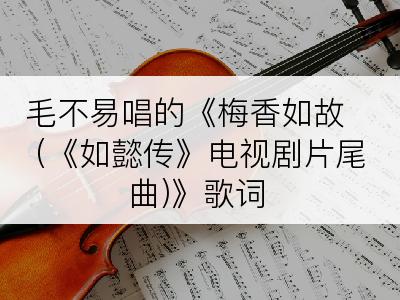 毛不易唱的《梅香如故 (《如懿传》电视剧片尾曲)》歌词