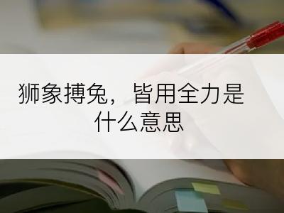 狮象搏兔，皆用全力是什么意思