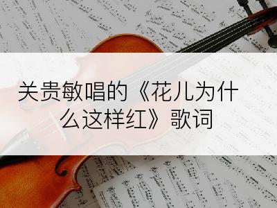 关贵敏唱的《花儿为什么这样红》歌词