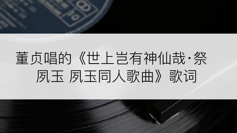 董贞唱的《世上岂有神仙哉·祭夙玉 夙玉同人歌曲》歌词