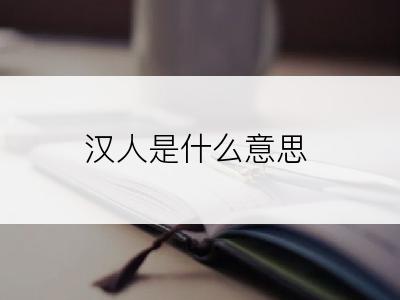 汉人是什么意思