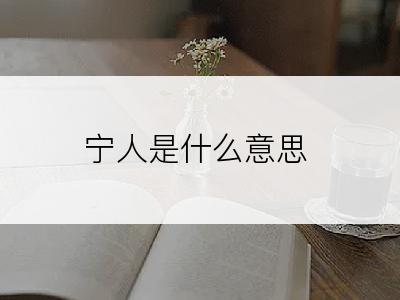 宁人是什么意思