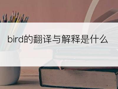 bird的翻译与解释是什么