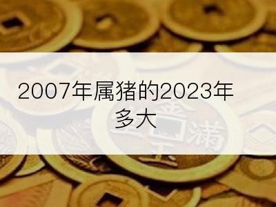 2007年属猪的2023年多大