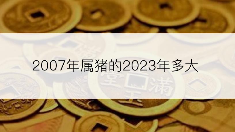 2007年属猪的2023年多大