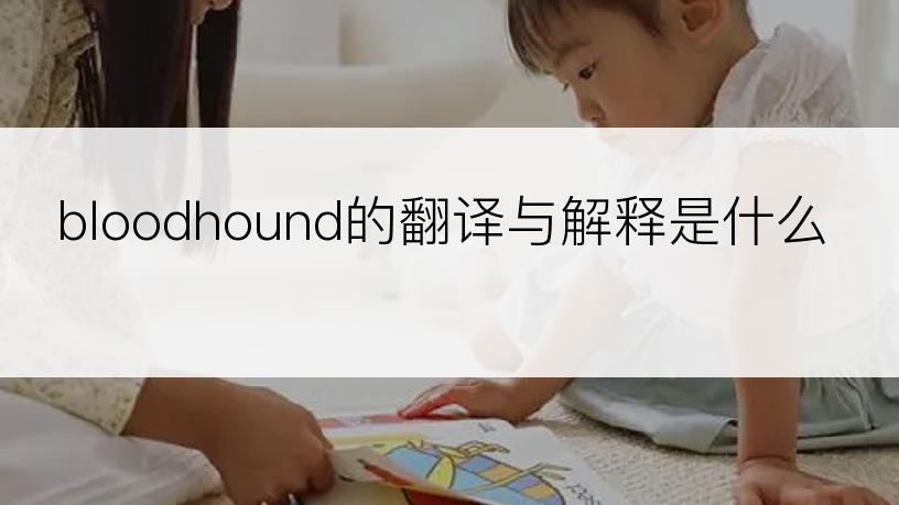 bloodhound的翻译与解释是什么