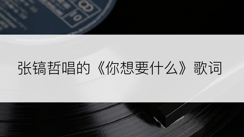 张镐哲唱的《你想要什么》歌词