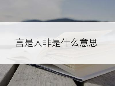 言是人非是什么意思