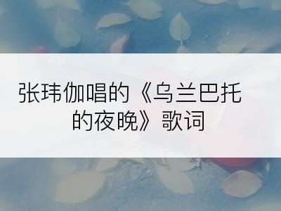 张玮伽唱的《乌兰巴托的夜晚》歌词