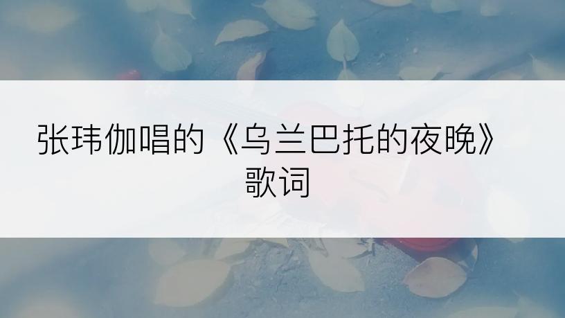 张玮伽唱的《乌兰巴托的夜晚》歌词