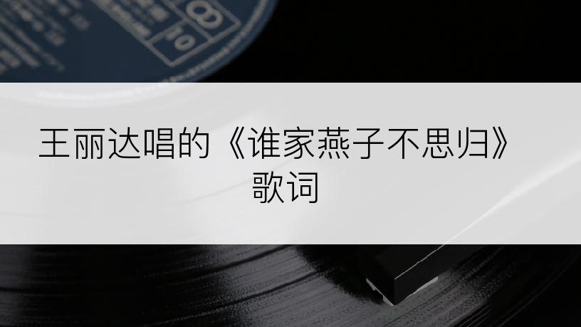 王丽达唱的《谁家燕子不思归》歌词