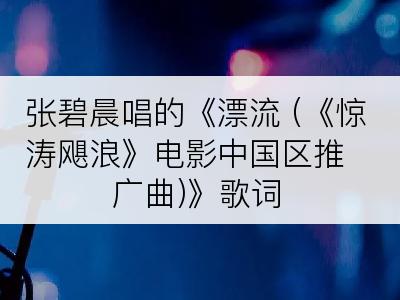 张碧晨唱的《漂流 (《惊涛飓浪》电影中国区推广曲)》歌词