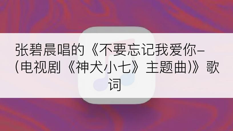 张碧晨唱的《不要忘记我爱你-(电视剧《神犬小七》主题曲)》歌词