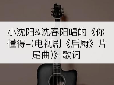 小沈阳&沈春阳唱的《你懂得-(电视剧《后厨》片尾曲)》歌词