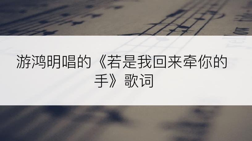 游鸿明唱的《若是我回来牵你的手》歌词