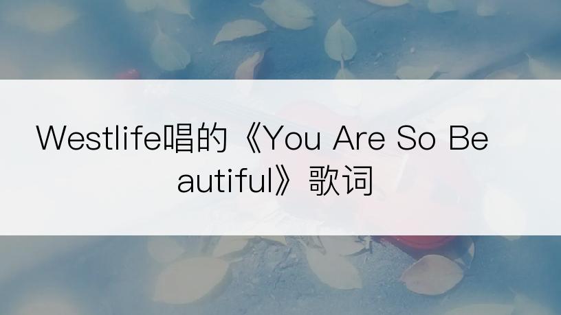 Westlife唱的《You Are So Beautiful》歌词