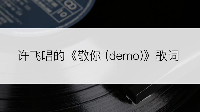 许飞唱的《敬你 (demo)》歌词