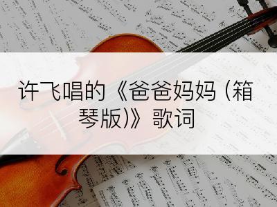 许飞唱的《爸爸妈妈 (箱琴版)》歌词