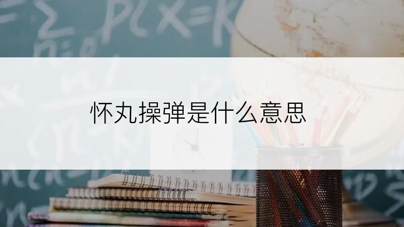 怀丸操弹是什么意思