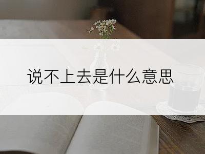 说不上去是什么意思