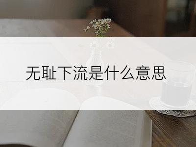 无耻下流是什么意思