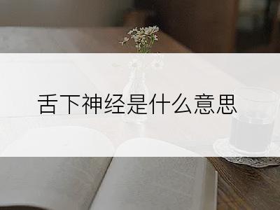 舌下神经是什么意思