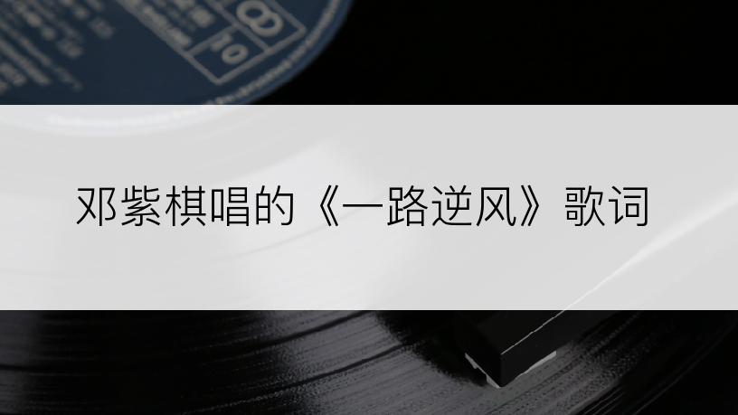 邓紫棋唱的《一路逆风》歌词