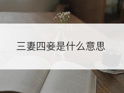 三妻四妾是什么意思