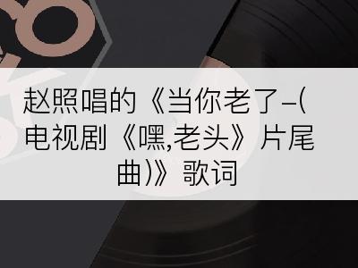 赵照唱的《当你老了-(电视剧《嘿,老头》片尾曲)》歌词