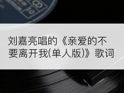 刘嘉亮唱的《亲爱的不要离开我(单人版)》歌词