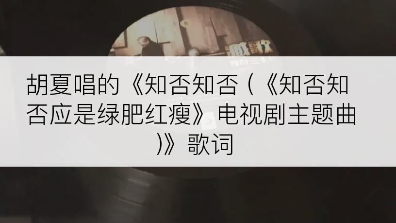 胡夏唱的《知否知否 (《知否知否应是绿肥红瘦》电视剧主题曲)》歌词