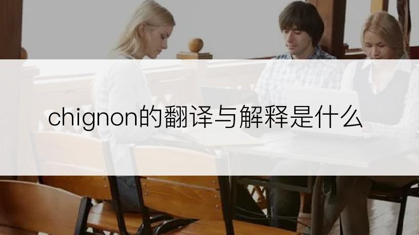 chignon的翻译与解释是什么