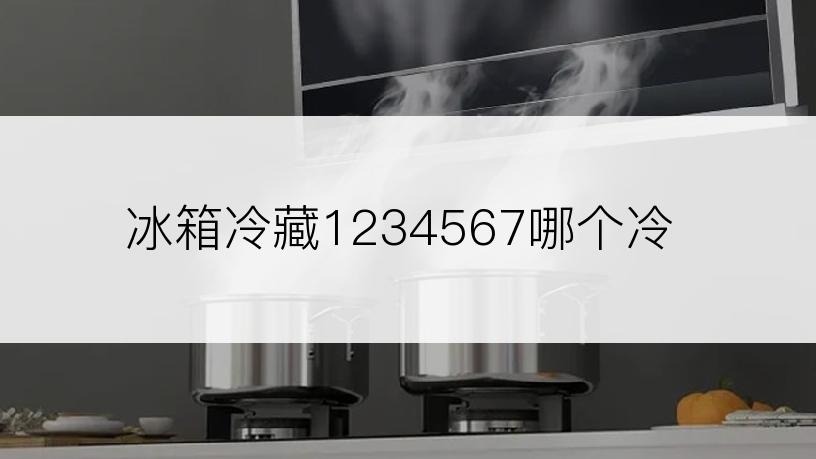 冰箱冷藏1234567哪个冷