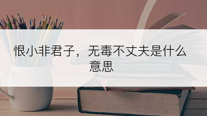 恨小非君子，无毒不丈夫是什么意思