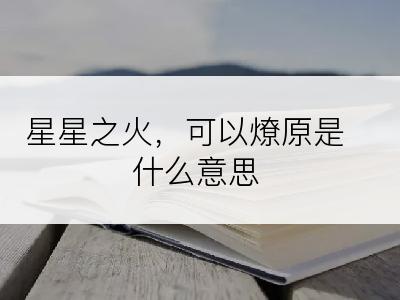 星星之火，可以燎原是什么意思