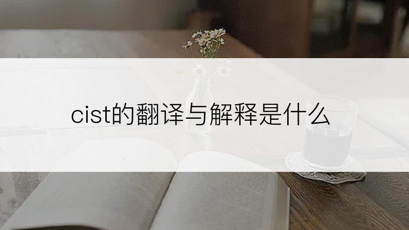 cist的翻译与解释是什么